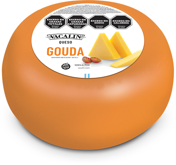 Quesos Gouda